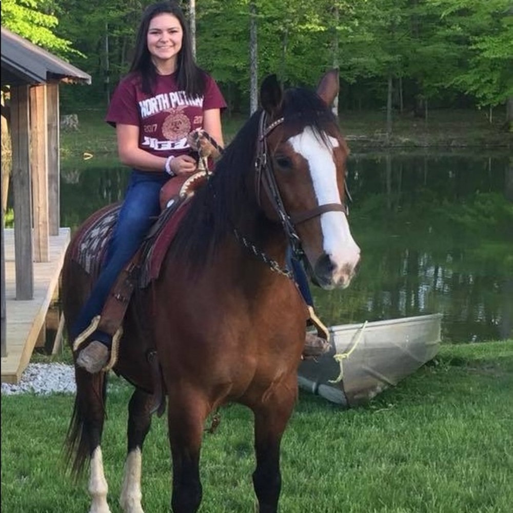 Meet your Posher, Lindsey